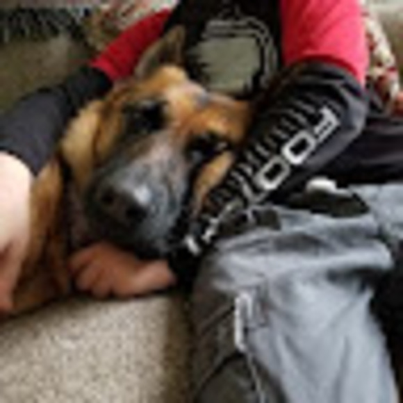 Meet your Posher, Aubrey - Picture 1 of 1